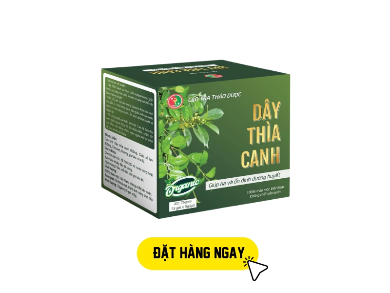 Cao trà dây thìa canh