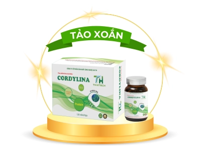 Cordylina - Tảo xoắn đông trùng