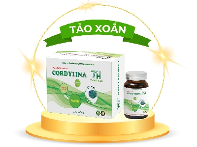 Tảo xoắn đông trùng - Cordylina